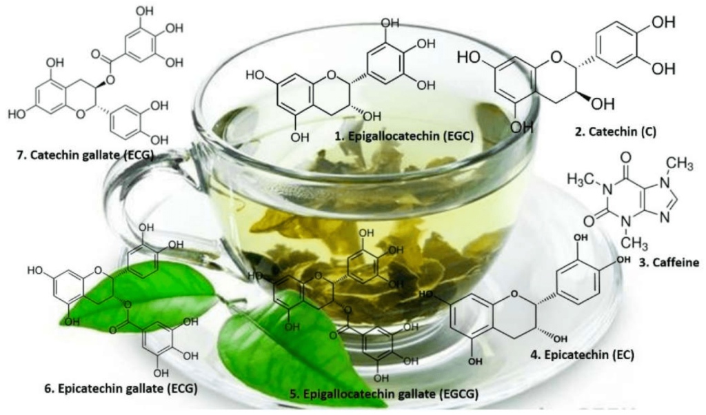 Чем полезны биофлавоноиды и их функции - богатые активными веществами продукты и растения, использование в медицине и список препаратов с флавоноидами
