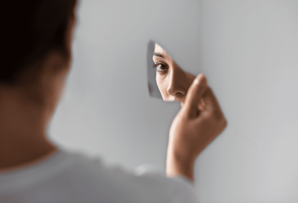 Самокритика